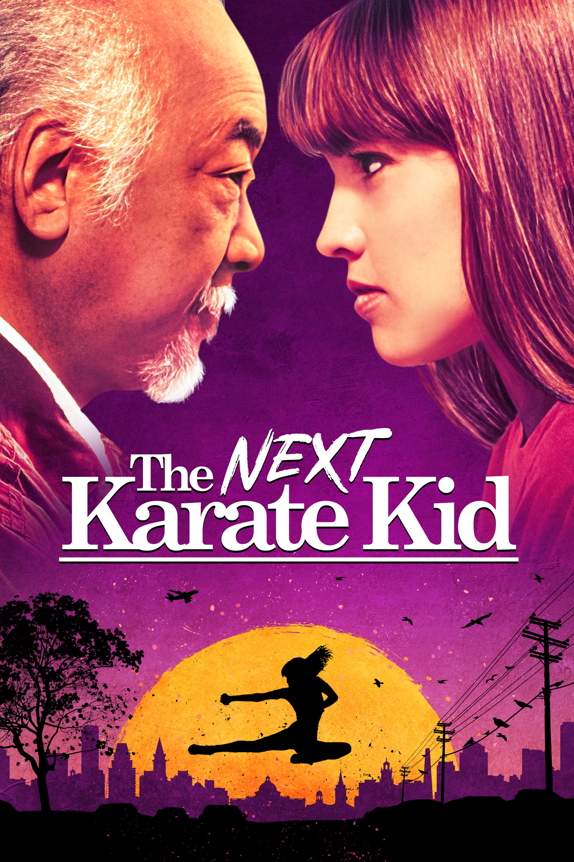 The.Next.Karate.Kid.1994.1080p.BluRay.x265-RARBG (1994) [1996] (A1696704770) [[Movies]] --Plex--